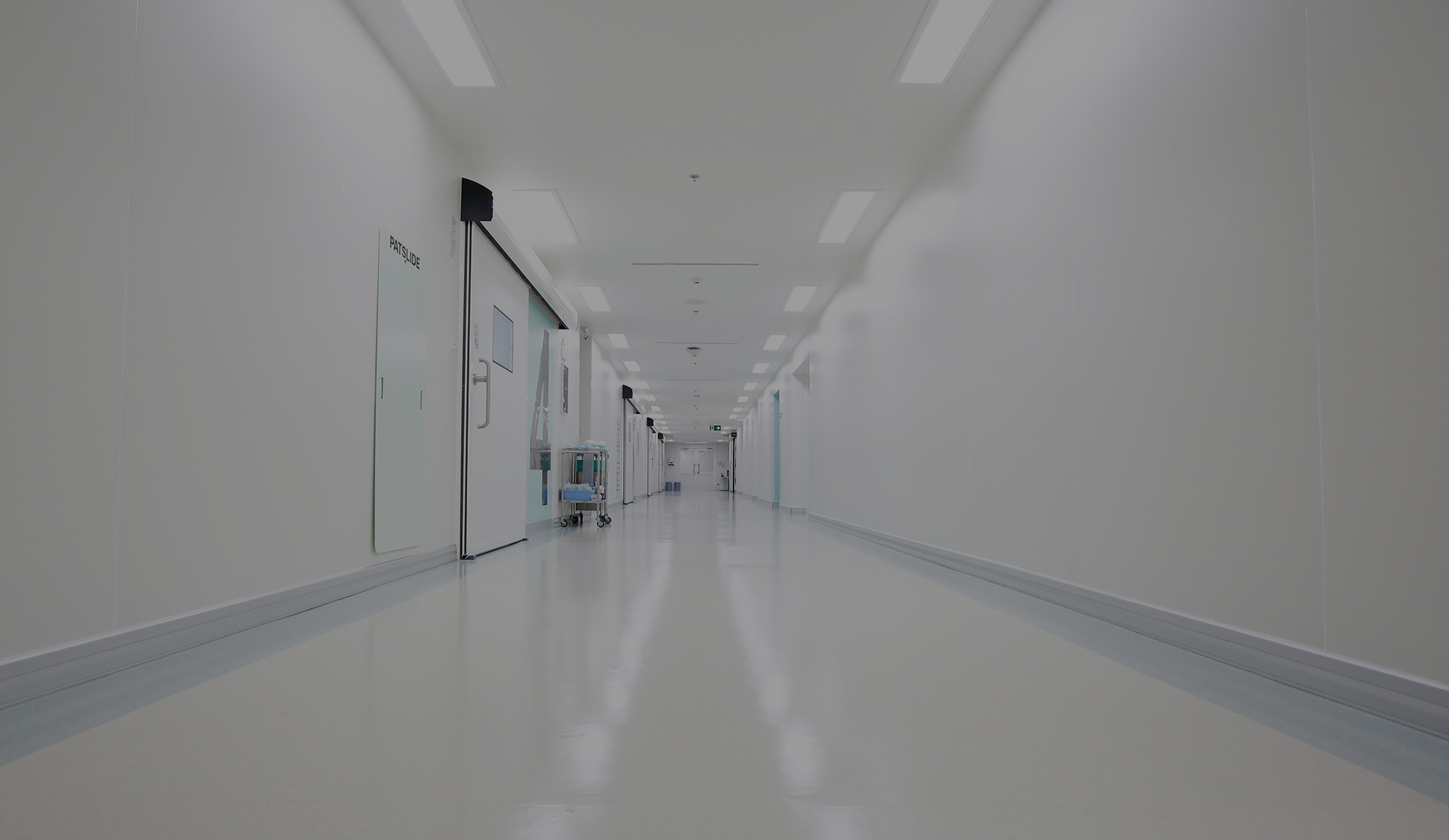 维多利亚老品牌vic(集团)官方网站